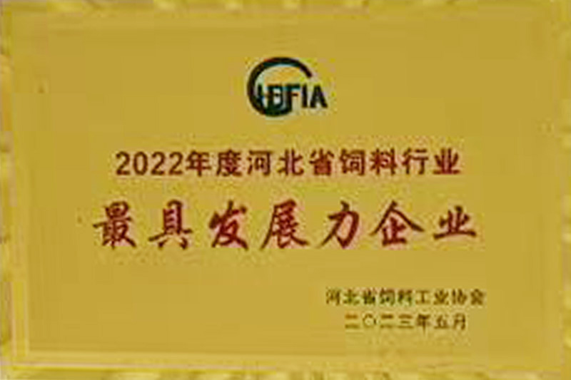 最具发展力企业