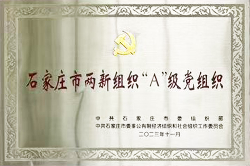 石家庄市两新组织“A”级党组织.