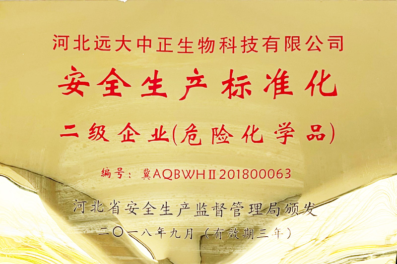 安全生产标准化二级企业