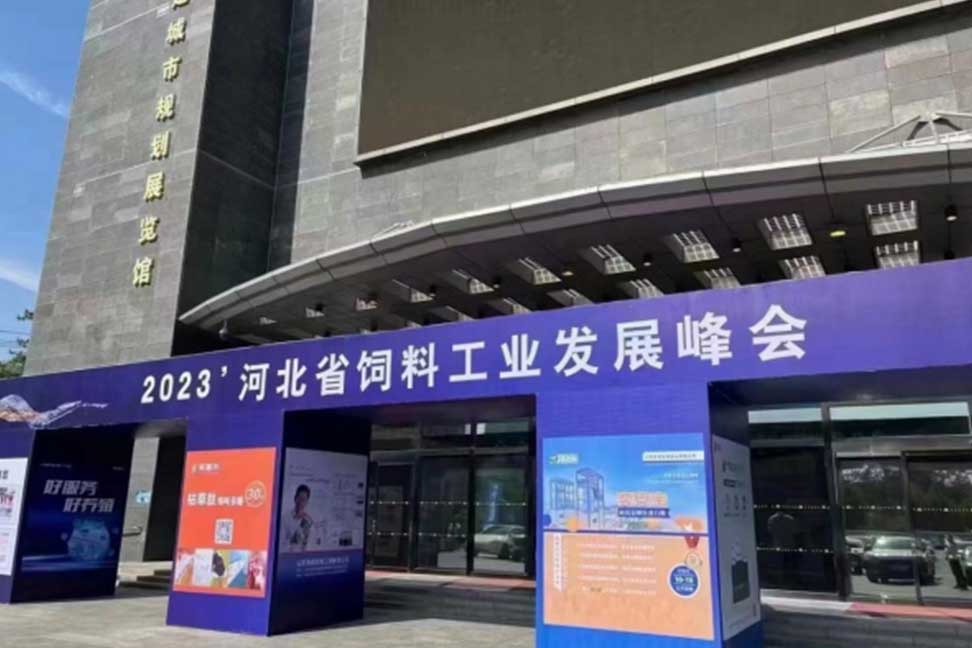 披沙见金，百炼成钢